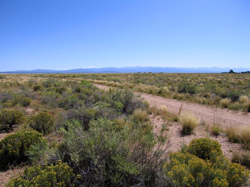 Mountain Views, Driveway, 135/Month : Blanca : Costilla County : Colorado