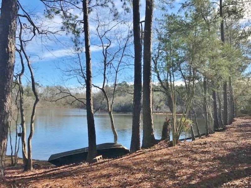 77 Acres Land for Sale Franklinton : Franklinton : Washington Parish : Louisiana