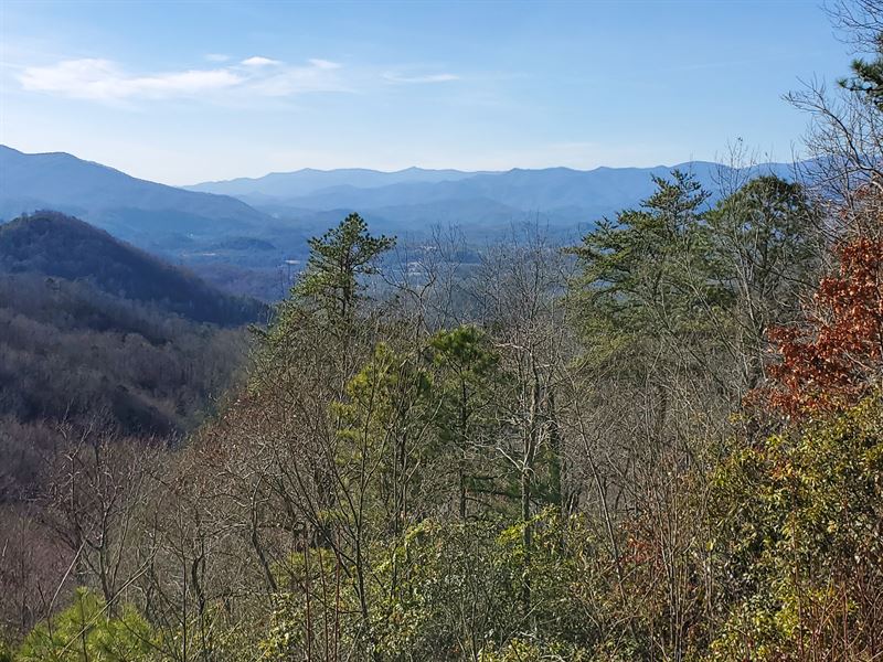 3-10 Acre Mountain Lots, Specials : Cherokee : Jackson County : North Carolina