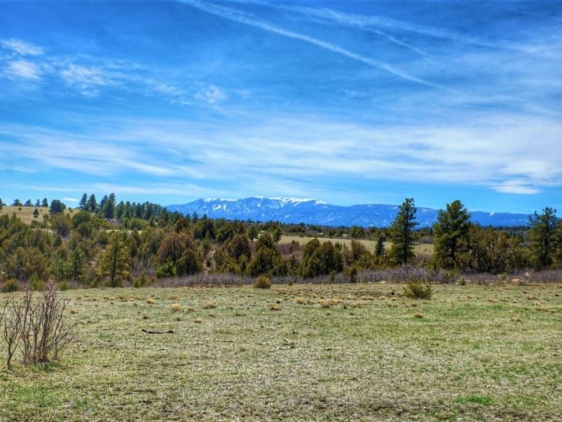 Wales Canyon Ranch : Beulah : Pueblo County : Colorado