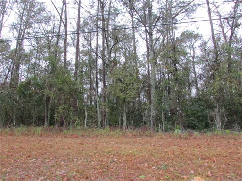 Commercial Potential Property : Pelham : Mitchell County : Georgia