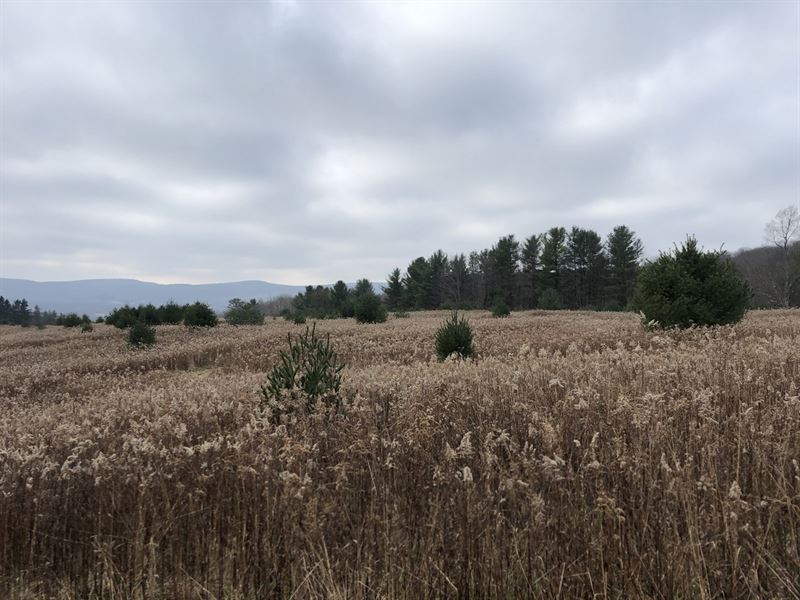 Southern Tier Hunters Dream : Cortland : Cortland County : New York
