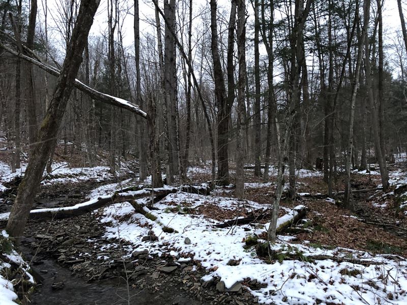 Arrowhead Acres : Cortland : Cortland County : New York