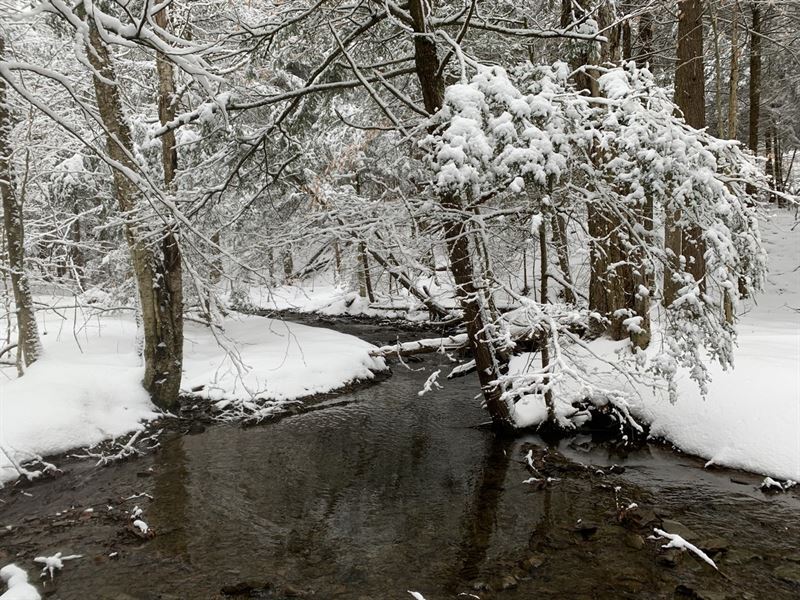 Oak Meadow Views : Cortland : Cortland County : New York