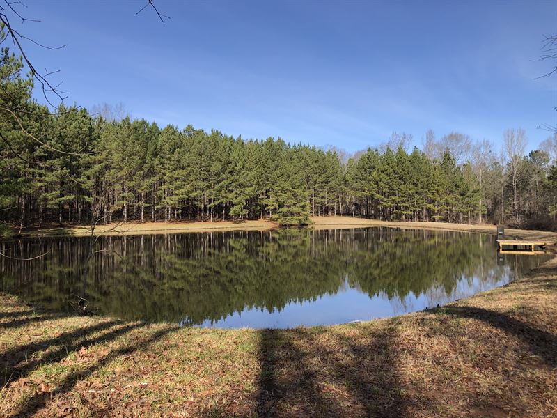Mini Farm with Two Ponds : Fitzpatrick : Bullock County : Alabama