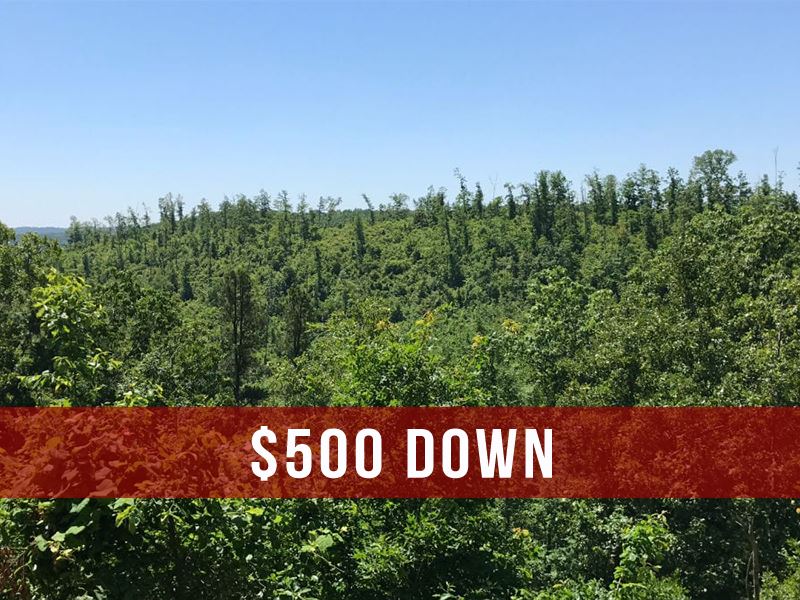 $500 Down on Rec Land in MO : Eminence : Shannon County : Missouri