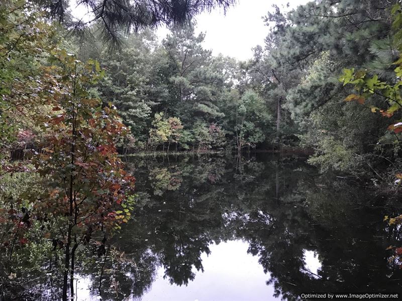 Beautiful 16Ac Tract with Pond : Wesson : Copiah County : Mississippi