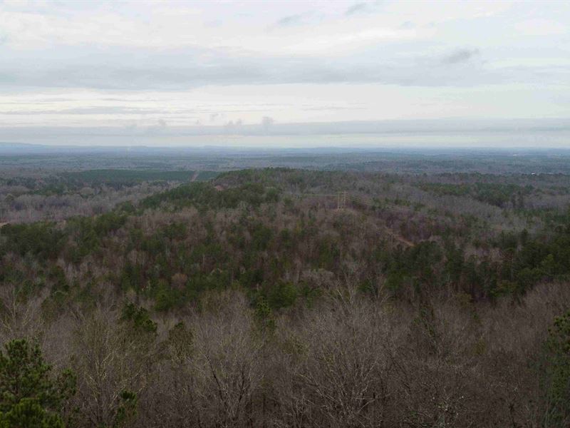 Hunting Land & Beautiful Home Sites : Childersburg : Talladega County : Alabama