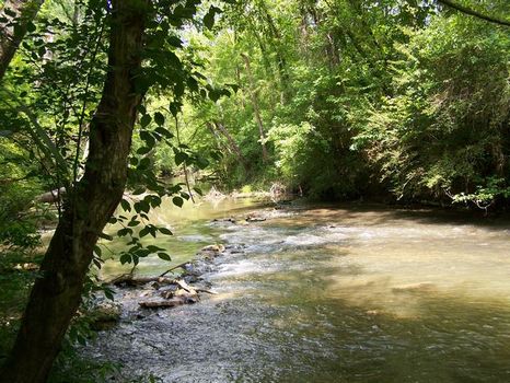 235+/- Acres Outdoor Paradise : Montevallo : Shelby County : Alabama