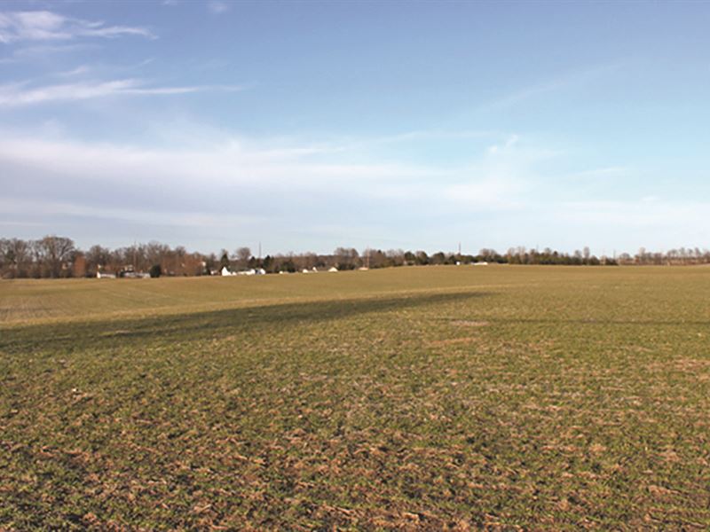 Highly Tillable Vacant Land : Bellefontaine : Logan County : Ohio