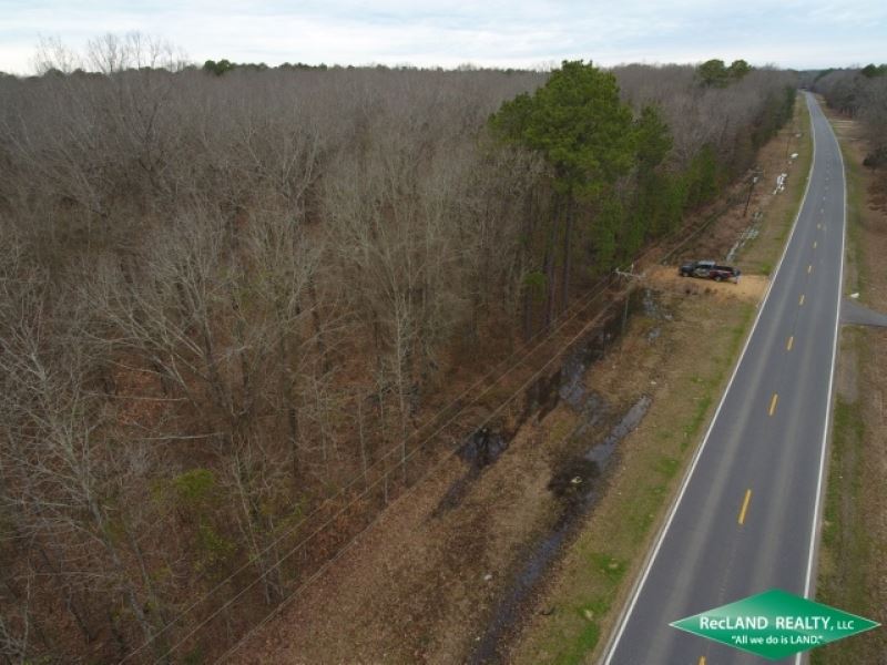 12 Ac, Wooded Tract for Home Site : Beekman : Morehouse Parish : Louisiana