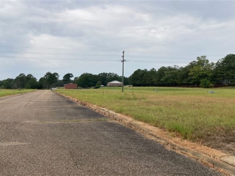 21 Lots To Choose From in Colony Pl : Kosciusko : Attala County : Mississippi