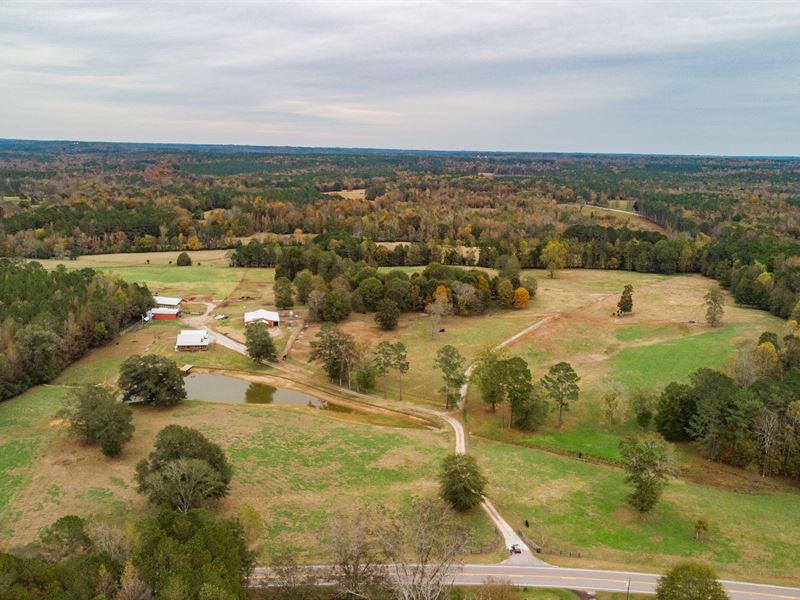 Beautiful Cattle Farm Land for Sale in Wadley, Chambers County