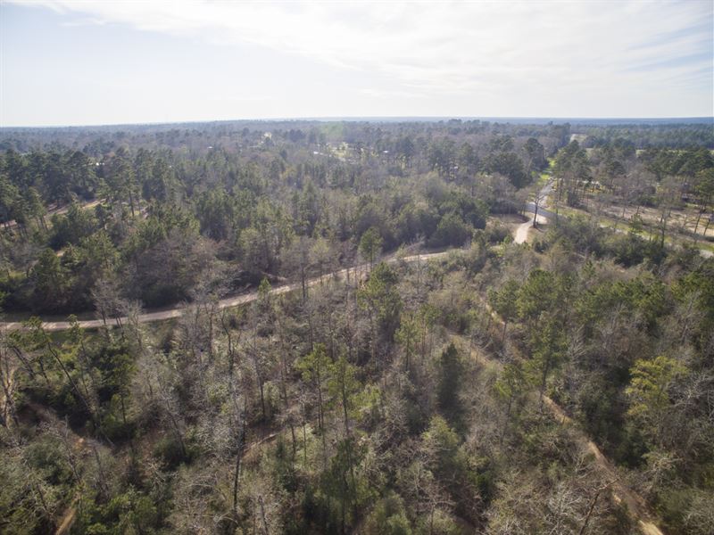 43 Acres FM 1097 : Willis : Montgomery County : Texas