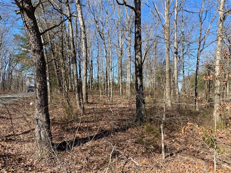 Unrestricted Land For Sale In Louisiana at Olivia Crooks blog