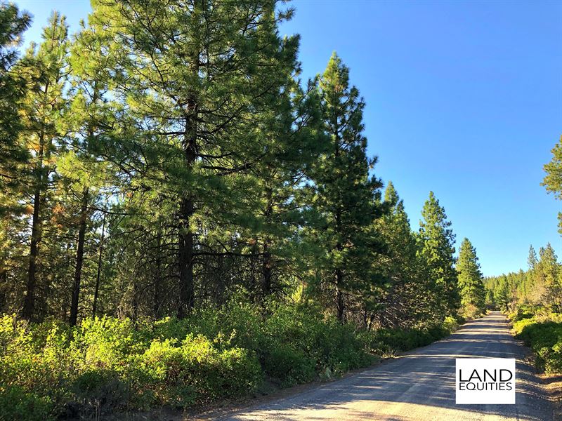 Beautiful Wooded Lot with Power : Bonanza : Klamath County : Oregon