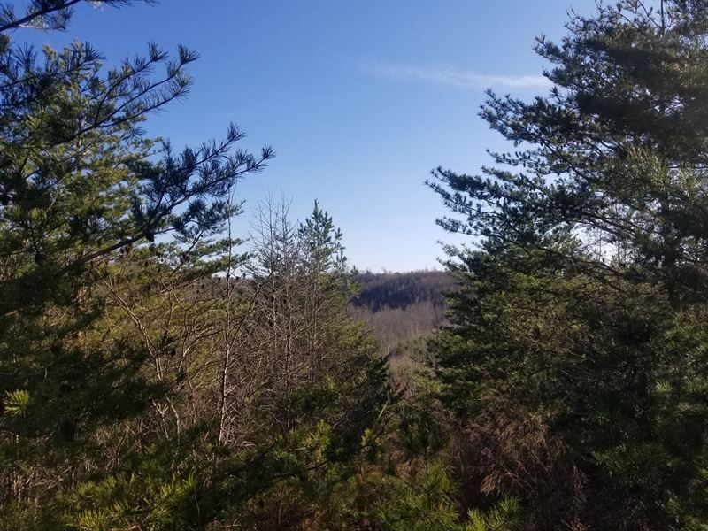 Wayne County TN Mountaintop Like : Clifton : Wayne County : Tennessee