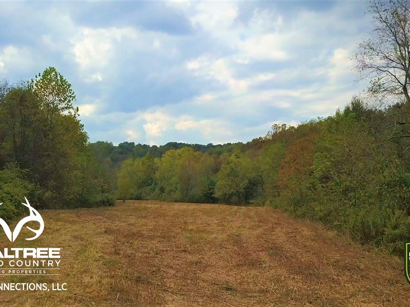 105 Acres Hunting Land Located : Rutland : Meigs County : Ohio