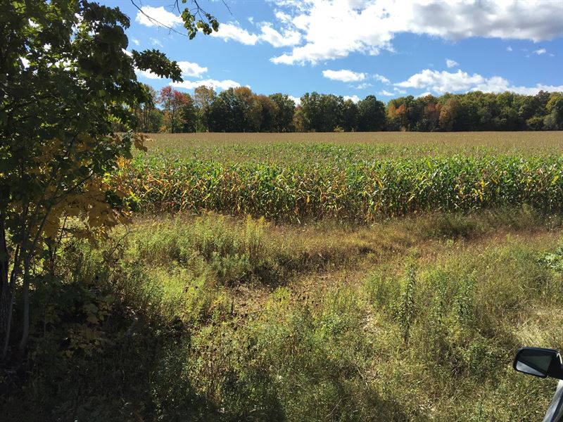 Recreational Land For Sale in Maine Land for Sale in Corinth