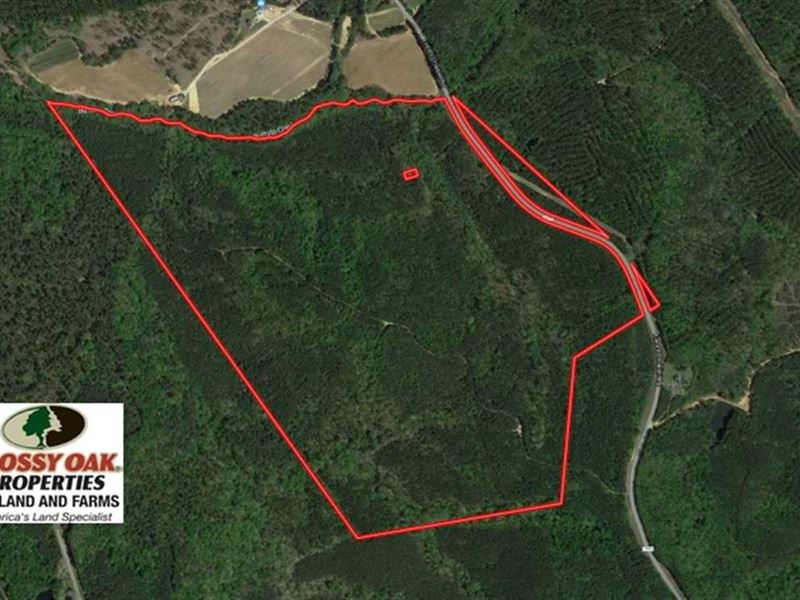 Reduced, 166 Acres of Hunting : Mount Gilead : Richmond County : North Carolina