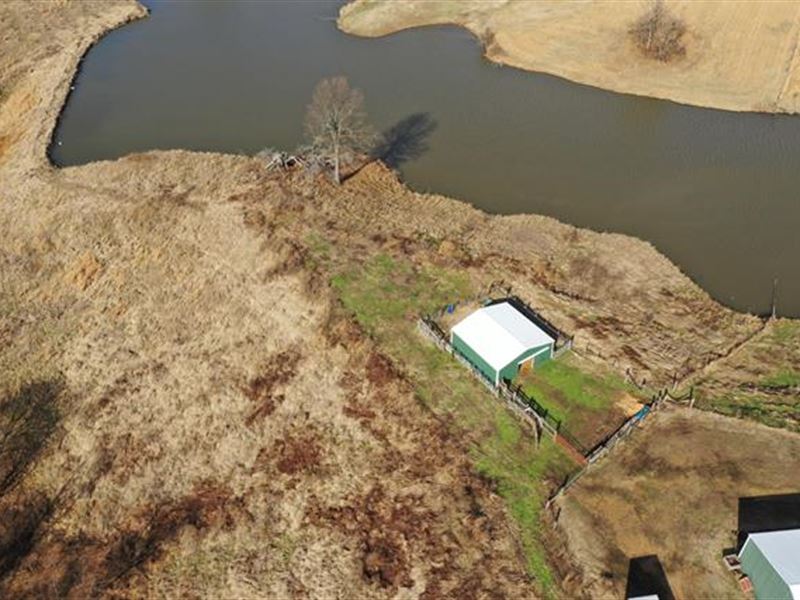 Sells Without Reserve This Tra : Troy : Obion County : Tennessee