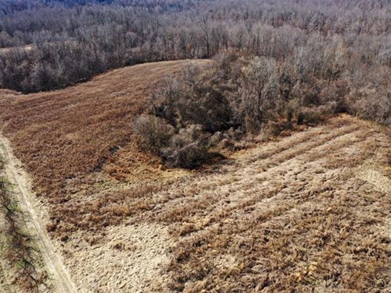 Sells Without Reserve This Tra : Troy : Obion County : Tennessee