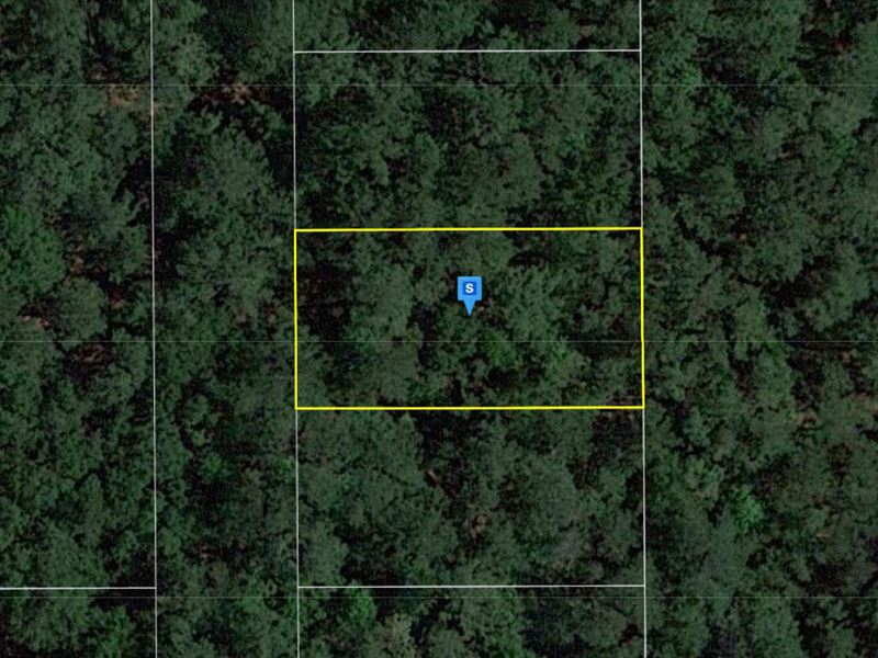 .25 Acre in Suwannee County, FL : Live Oak : Suwannee County : Florida
