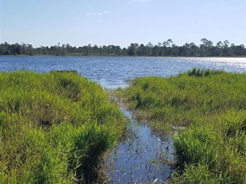 Wooded Lot Near State Parks Land for Sale by Owner in Sebring