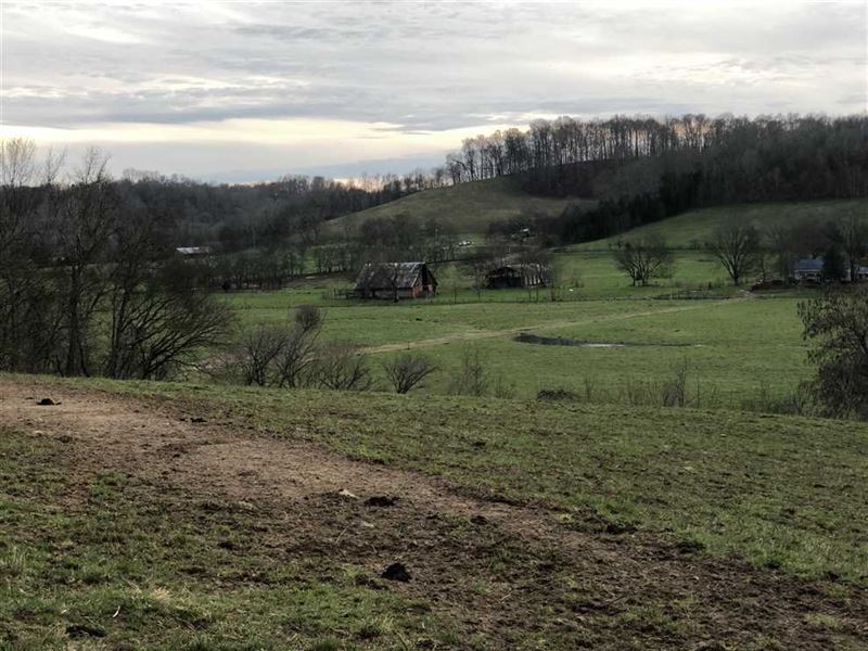 141 Acres Land for Sale Giles Coun : Prospect : Giles County : Tennessee
