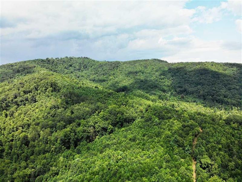 104.24 Acres in Thurmond, Surry : Thurmond : Surry County : North Carolina