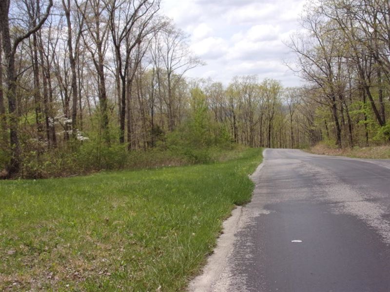 Nice Land, Level, Paved Frontage : Pikeville : Bledsoe County : Tennessee