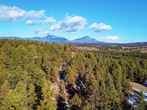 Colorado Land For Sale - LandHub