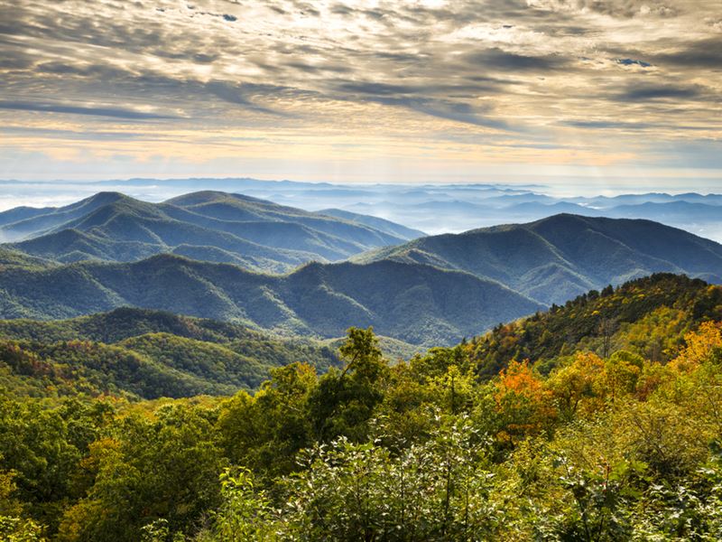 Asheville Acreage With Views Land for Sale in Asheville,