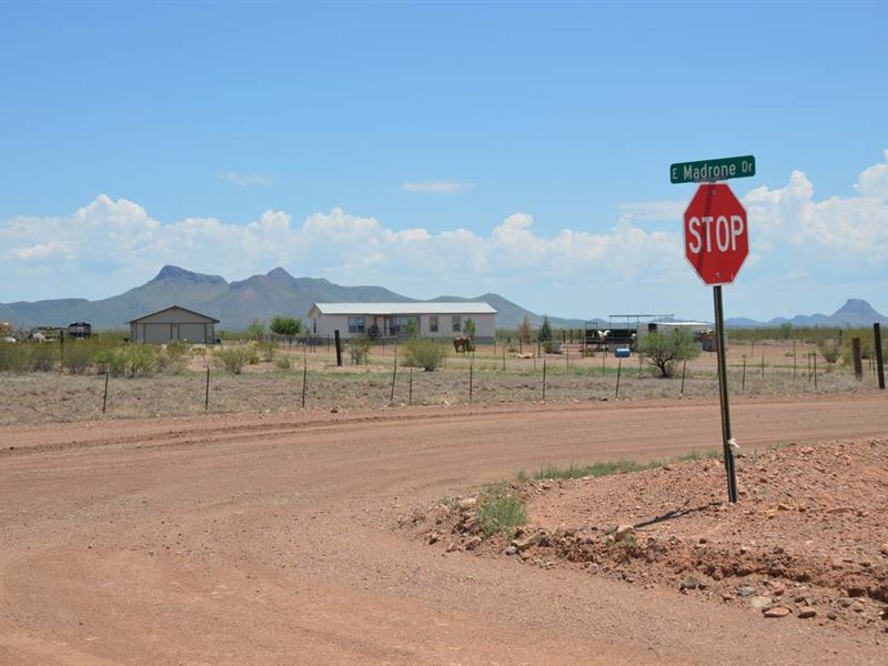 2 Prime Lots, Power & Water, $150/M : Douglas : Cochise County : Arizona