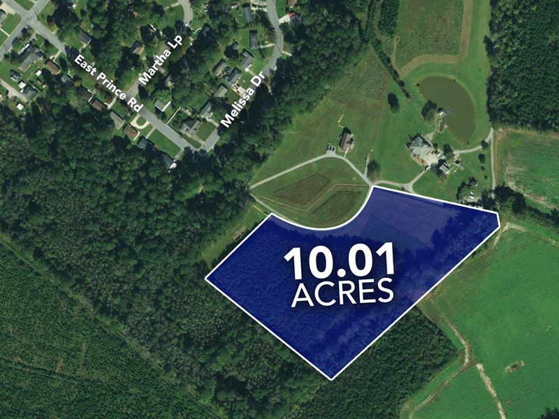 Large 10 Acre Homesite : Farmville : Pitt County : North Carolina