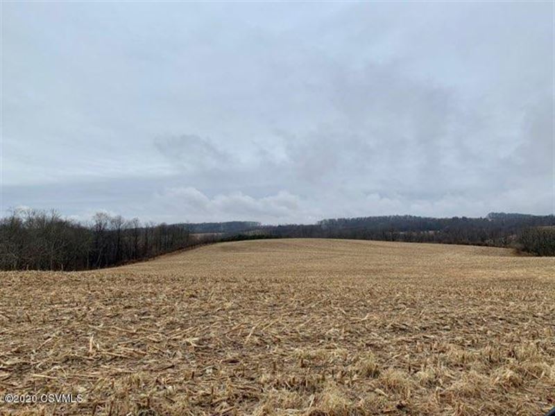 134 Acres of Prime Land Land for Sale in Orangeville, Columbia County