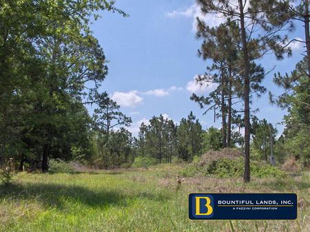 1 Acre Lake Caloosa $29,990 : Frostproof : Polk County : Florida