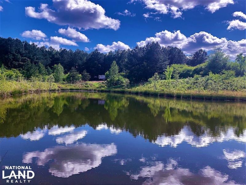 Carbon Hill Recreation And Timber Land for Sale in Carbon Hill