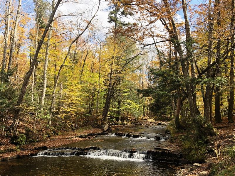Prince Brook Falls : Osceola : Lewis County : New York