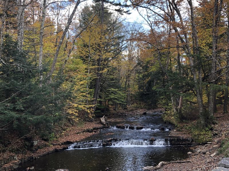 On Prince Brook : Osceola : Lewis County : New York