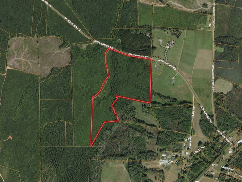 Versatile Tract Near Lake Gaston : Roanoke Rapids : Halifax County : North Carolina
