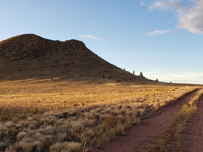 Mountain Views with Wildlife Nearby : Hartsel : Park County : Colorado