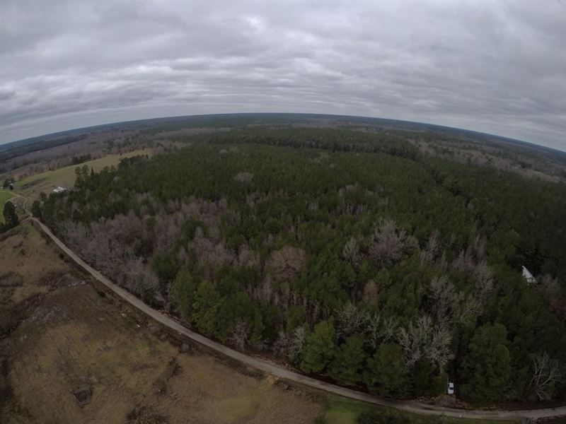 Union County Timber Tract : Magnolia : Union County : Arkansas