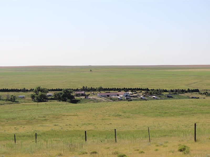 San Arroyo Creek Ranch : Fort Morgan : Adams County : Colorado