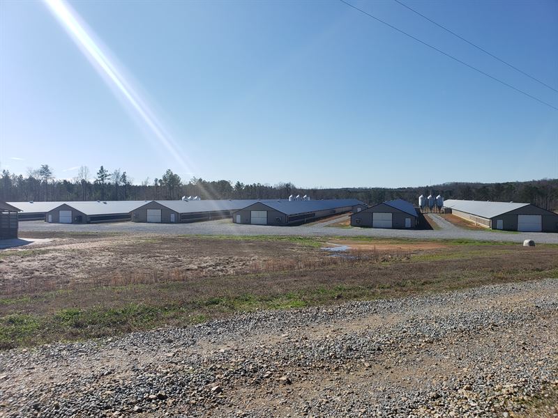 New Poultry Broiler House Farm : Fairmount : Gordon County : Georgia