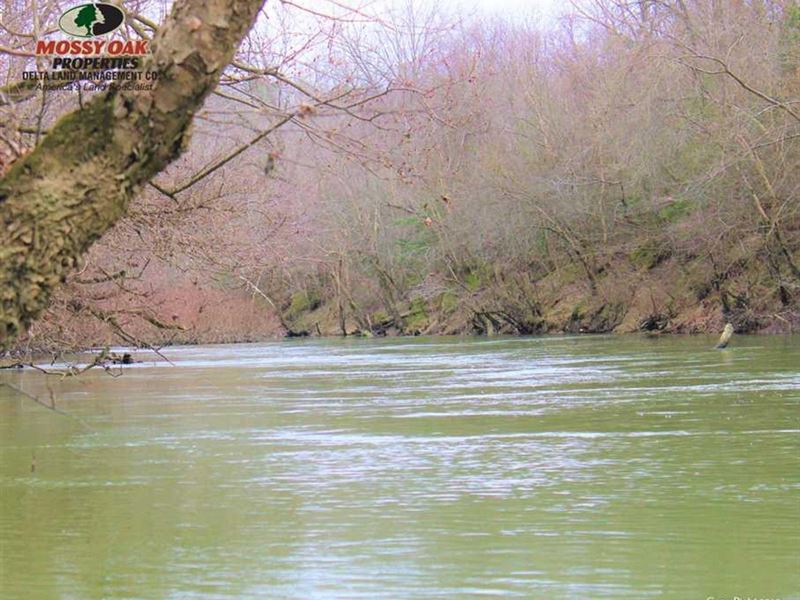 1104 Acres in Saline River Bott : Benton : Saline County : Arkansas