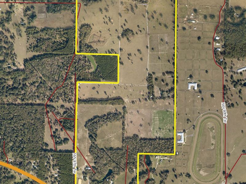 Clear Creek Farms : Ocala : Marion County : Florida