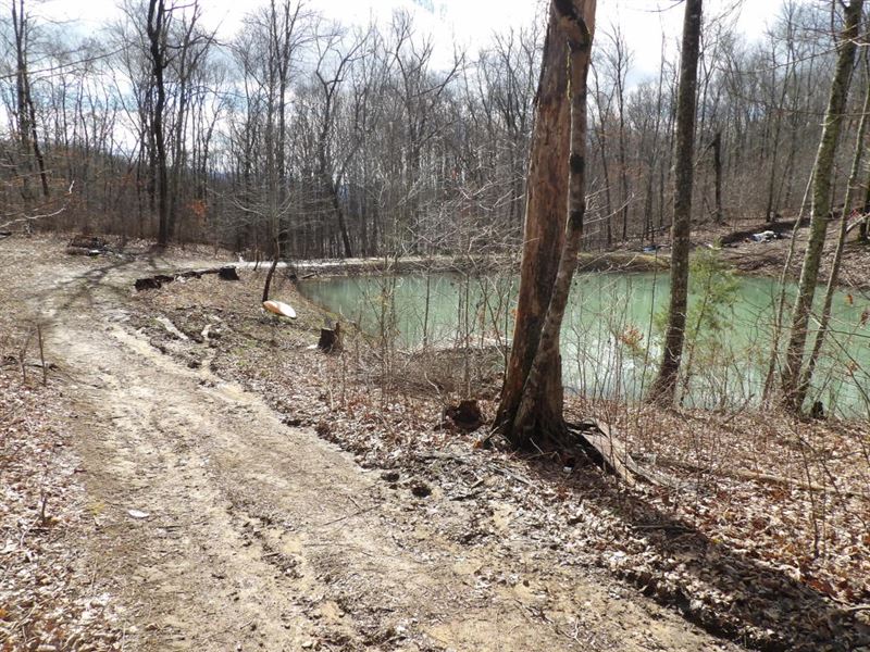 No Restrictions, Creek and Pond Land for Sale in Pikeville, Bledsoe