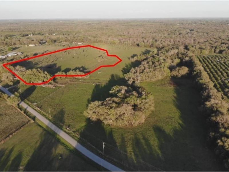 28 Acres Desoto County Florida : Arcadia : Desoto County : Florida