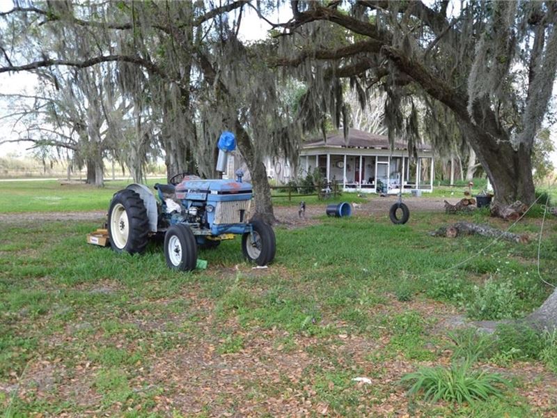 39 Acres, Home in Arcadia, FL : Arcadia : Desoto County : Florida